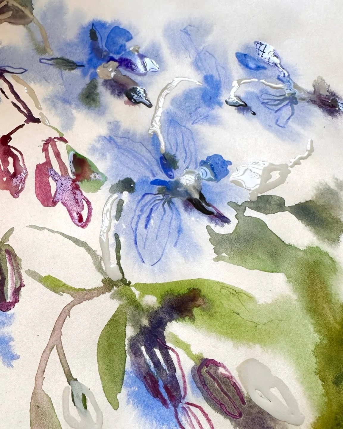 I found these blue weeds while wandering about the other day. Such a beautiful colour. 

#floralsketch #loosewatercolor #watercoloronpaper