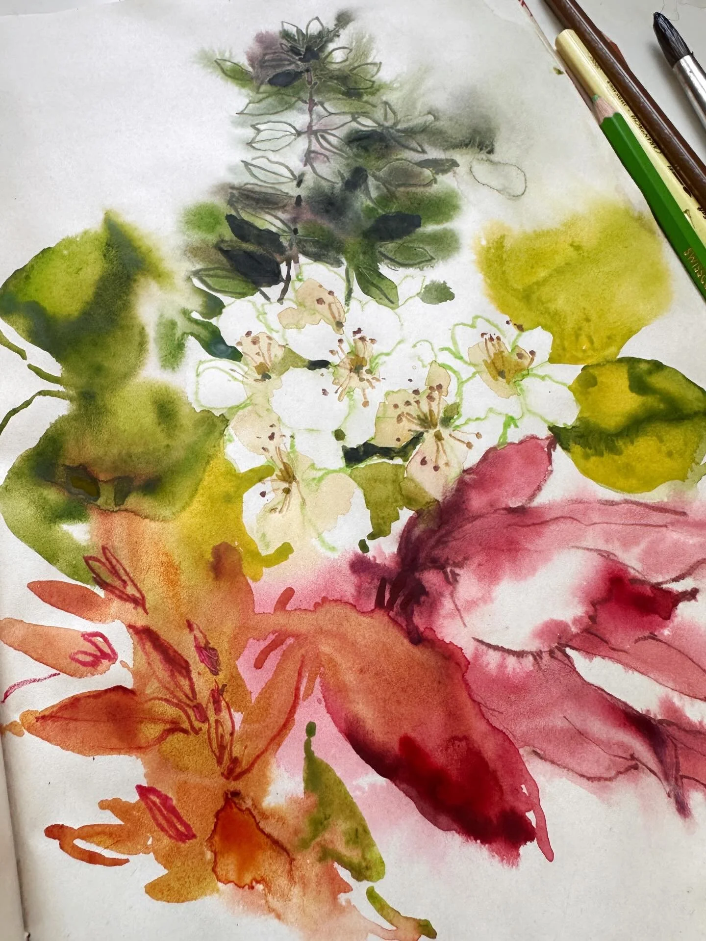 Pear blossom from my garden. 

#watercolorsketch #watercolourpaint #floralartwork #floralarthub