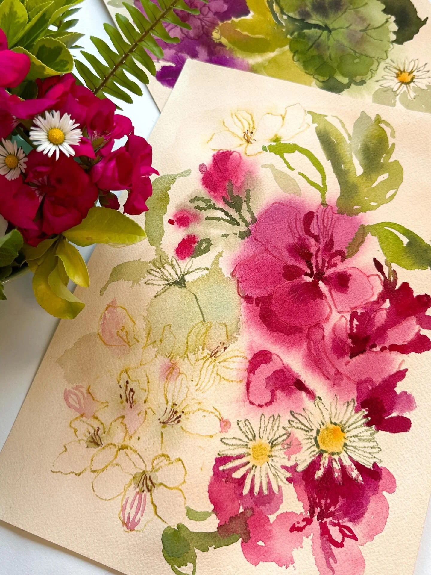 Loose watercolour geraniums today.