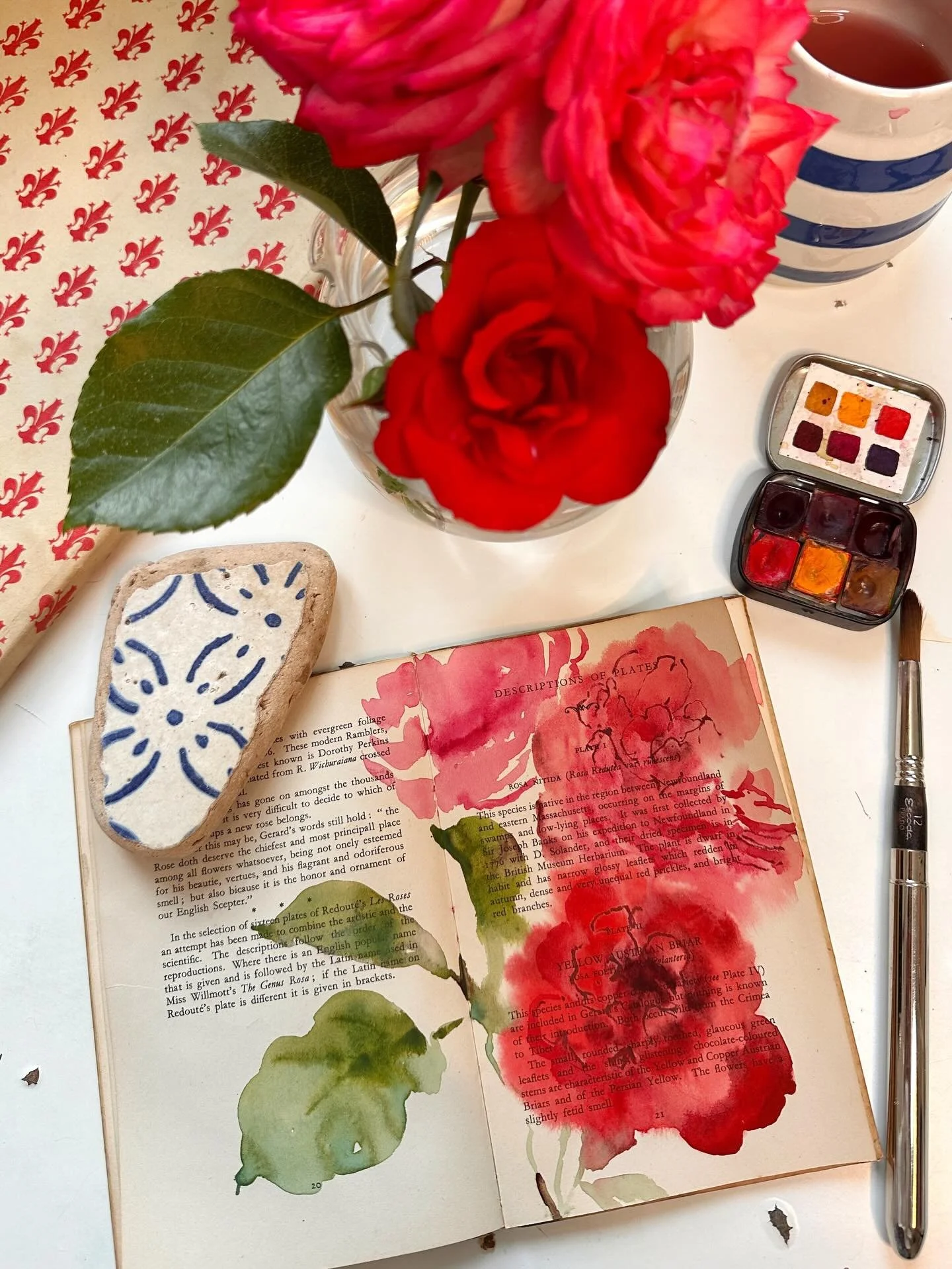 I&rsquo;m painting roses from my garden in this lovely vintage book about roses that my friend Claire @littlevelvetvintage gave me. 
I really want to visit the famous rose garden in the centre of Rome and paint in it en plein air while it&rsquo;s in 