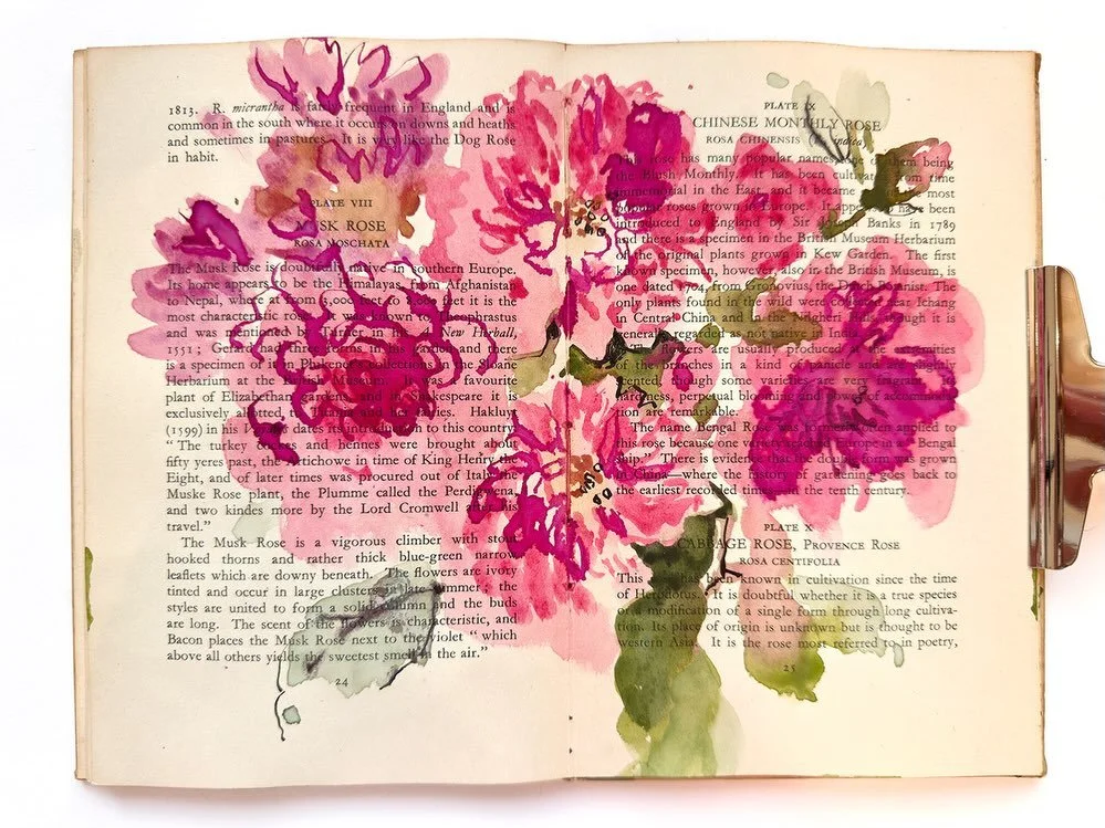 🌸NEW PAINTING TUTORIAL JUST POSTED🌸

You may have spotted my recent postings of my rose paintings in an old book that my friend, Claire, from @littlevelvetvintage , gave me.
 
Lots of people loved them so I thought - make a tutorial.
 
And here it 