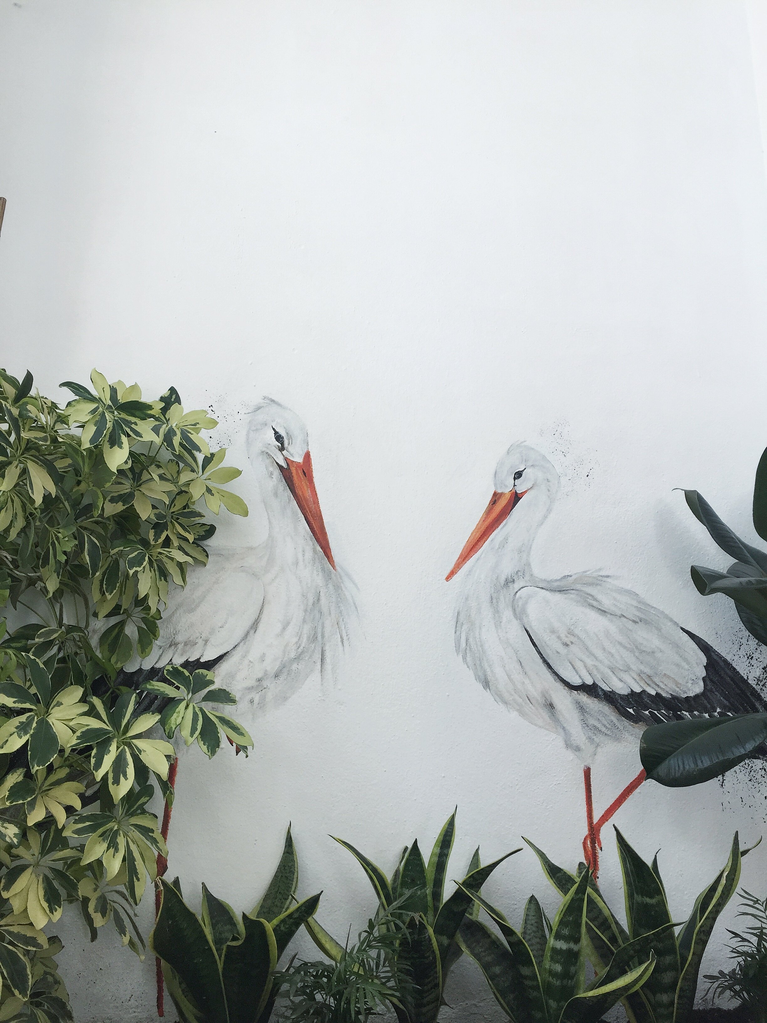  SUNRAY'S KITCHEN . The first birds to land on the walls of one of my favourite Lagos Café's, Sunray’s Kitchen 