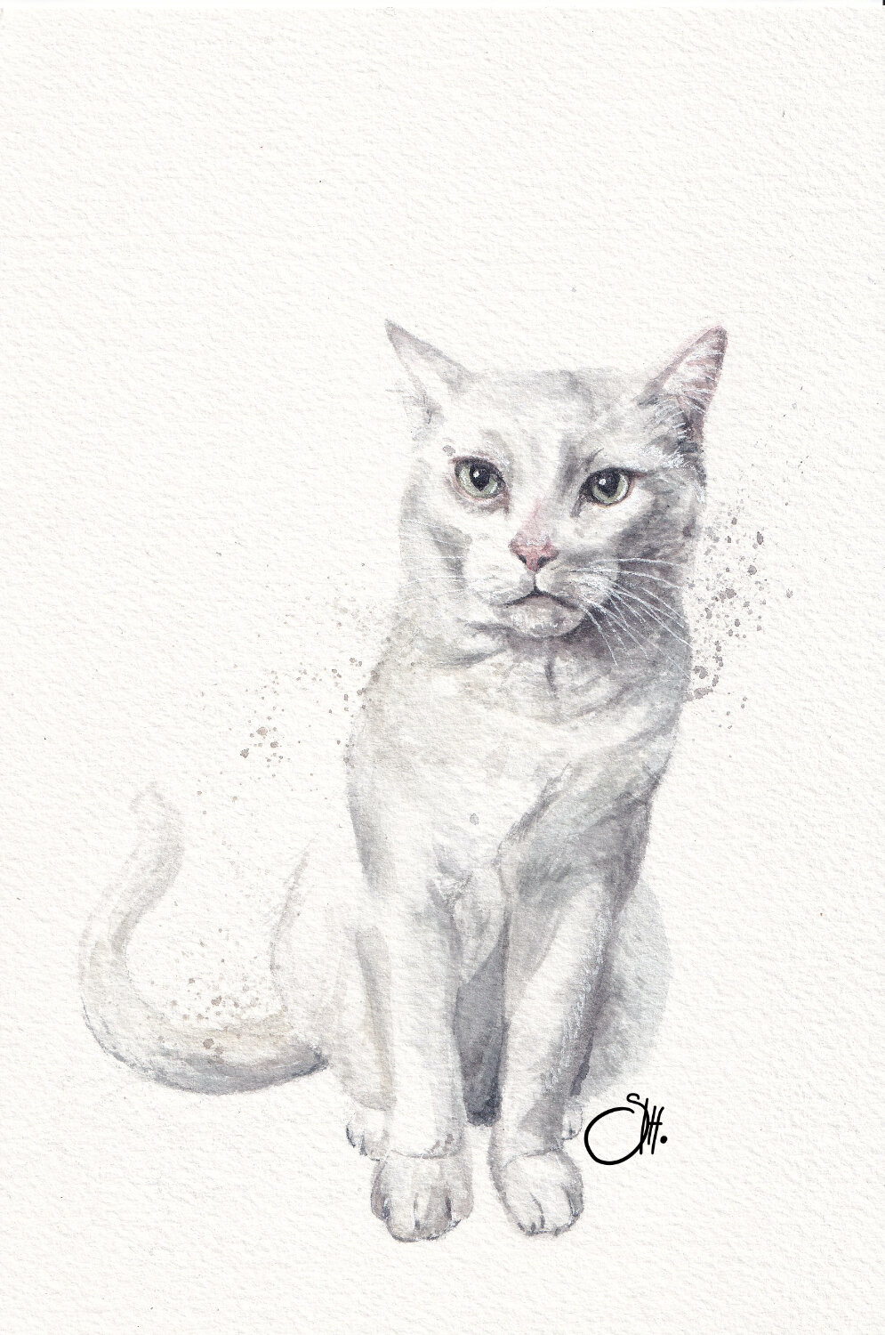  TEDDY . commission . 154 x 230mm . watercolour  