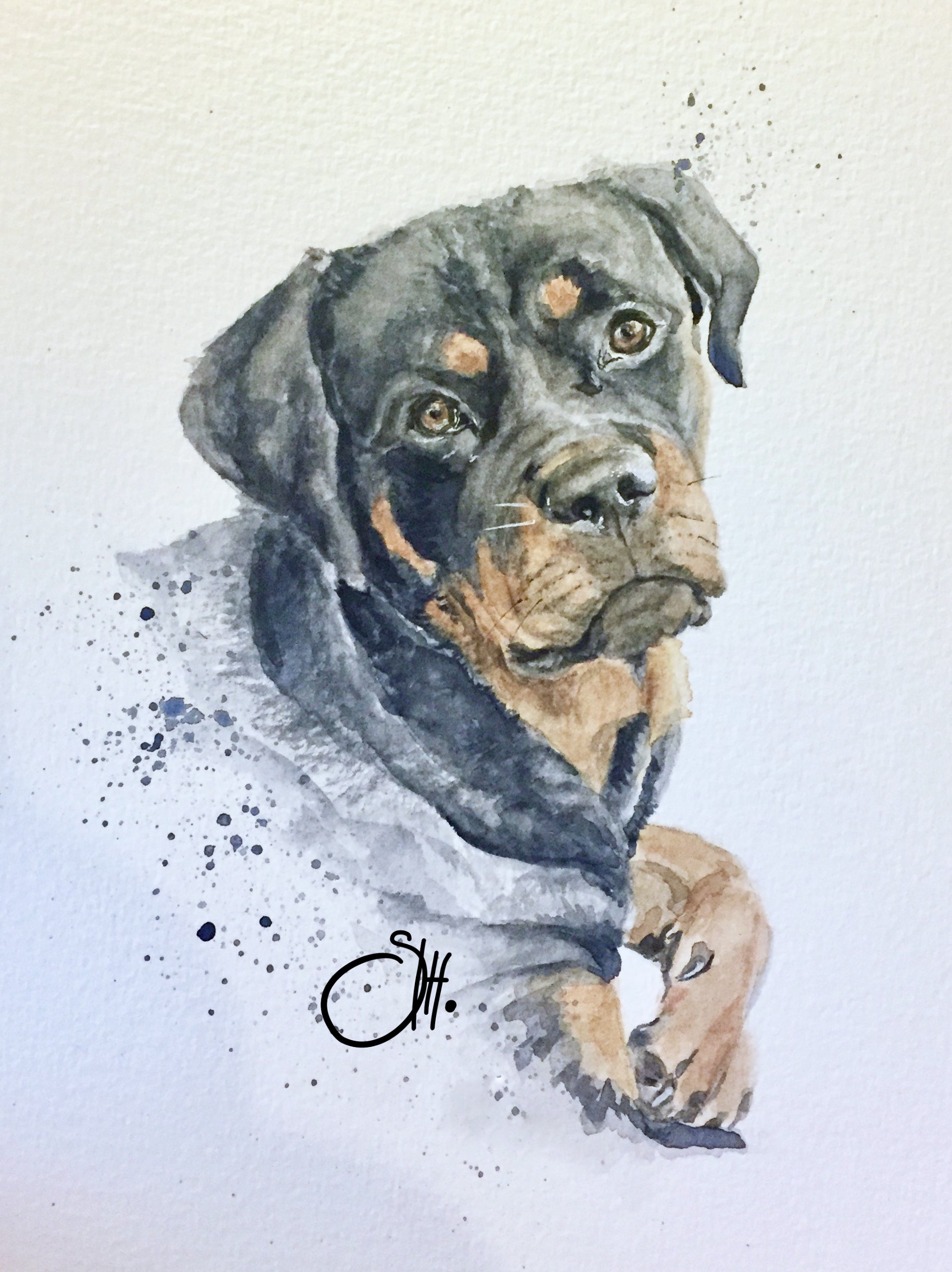  BELLE . A5 . Watercolour &amp; Ink 