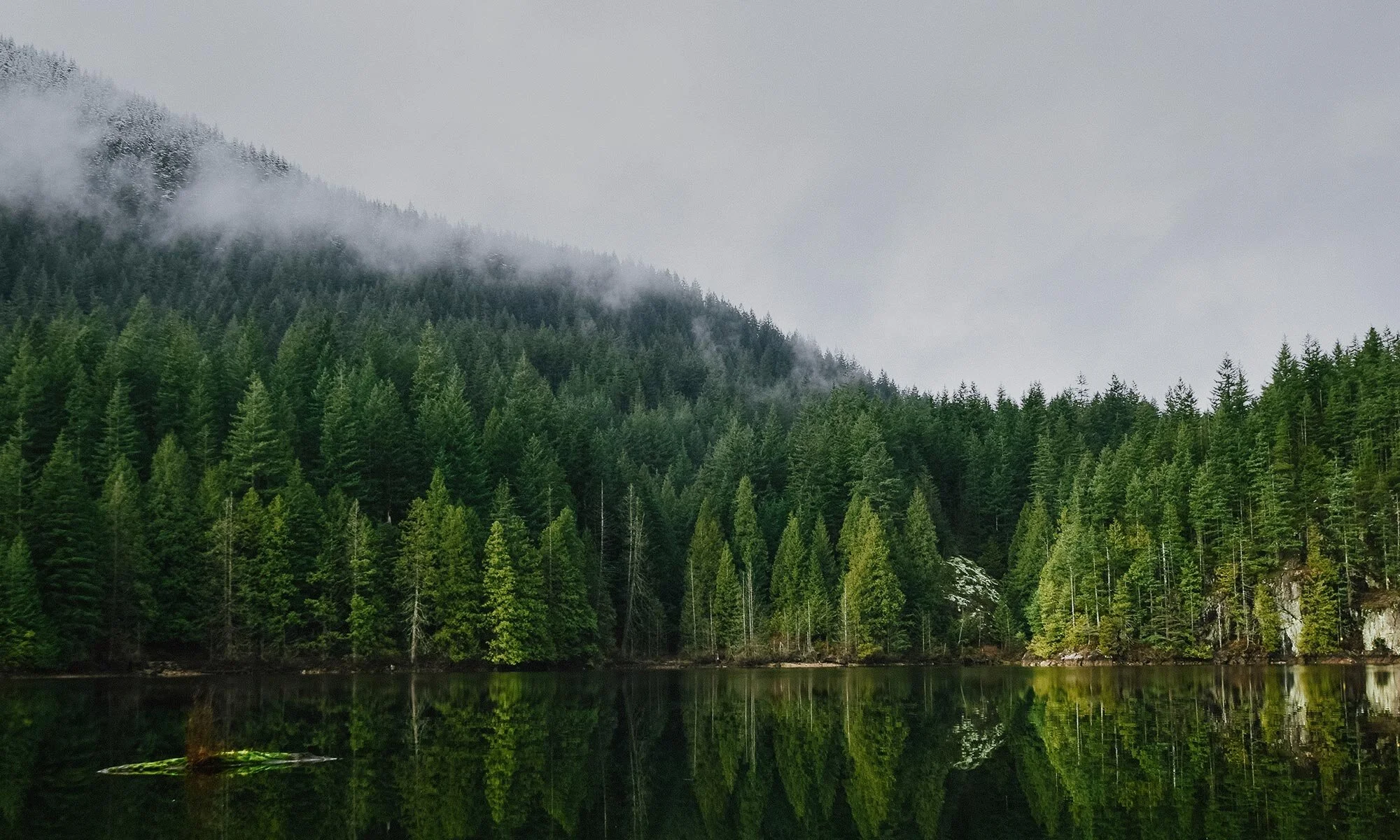 VancouverImage.jpg