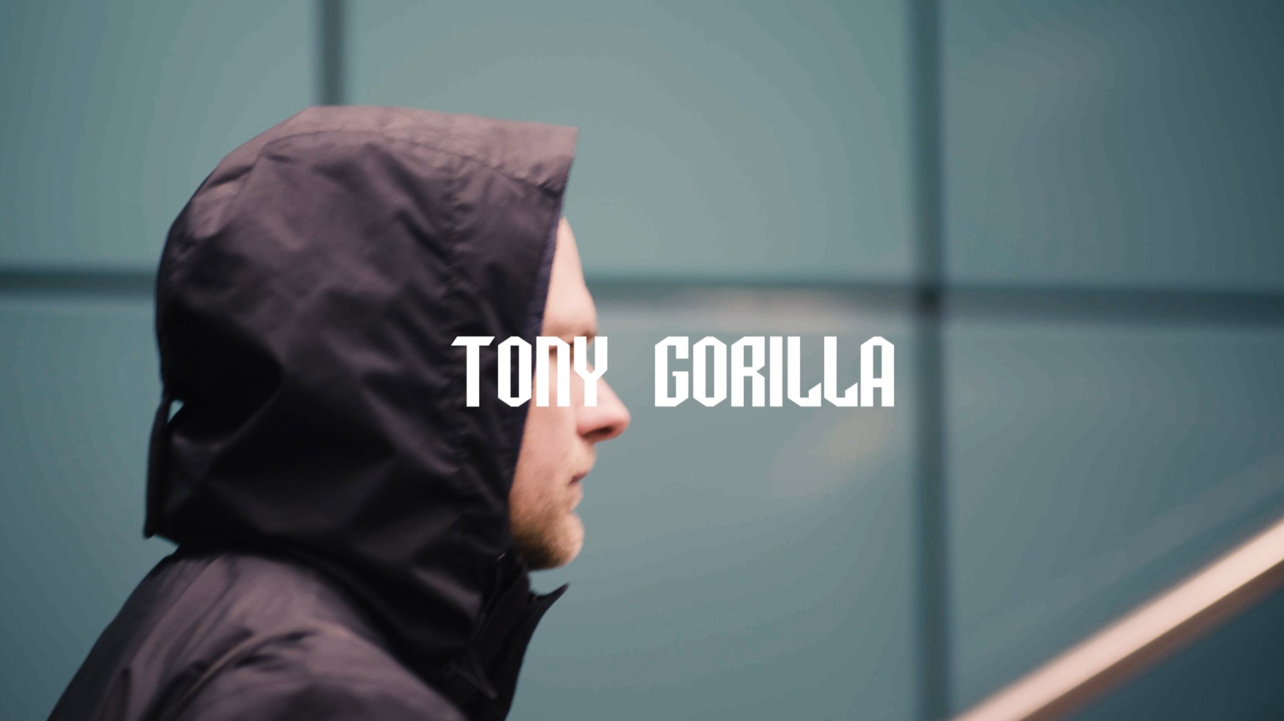 Tony Gorilla Place to Share | Music Video