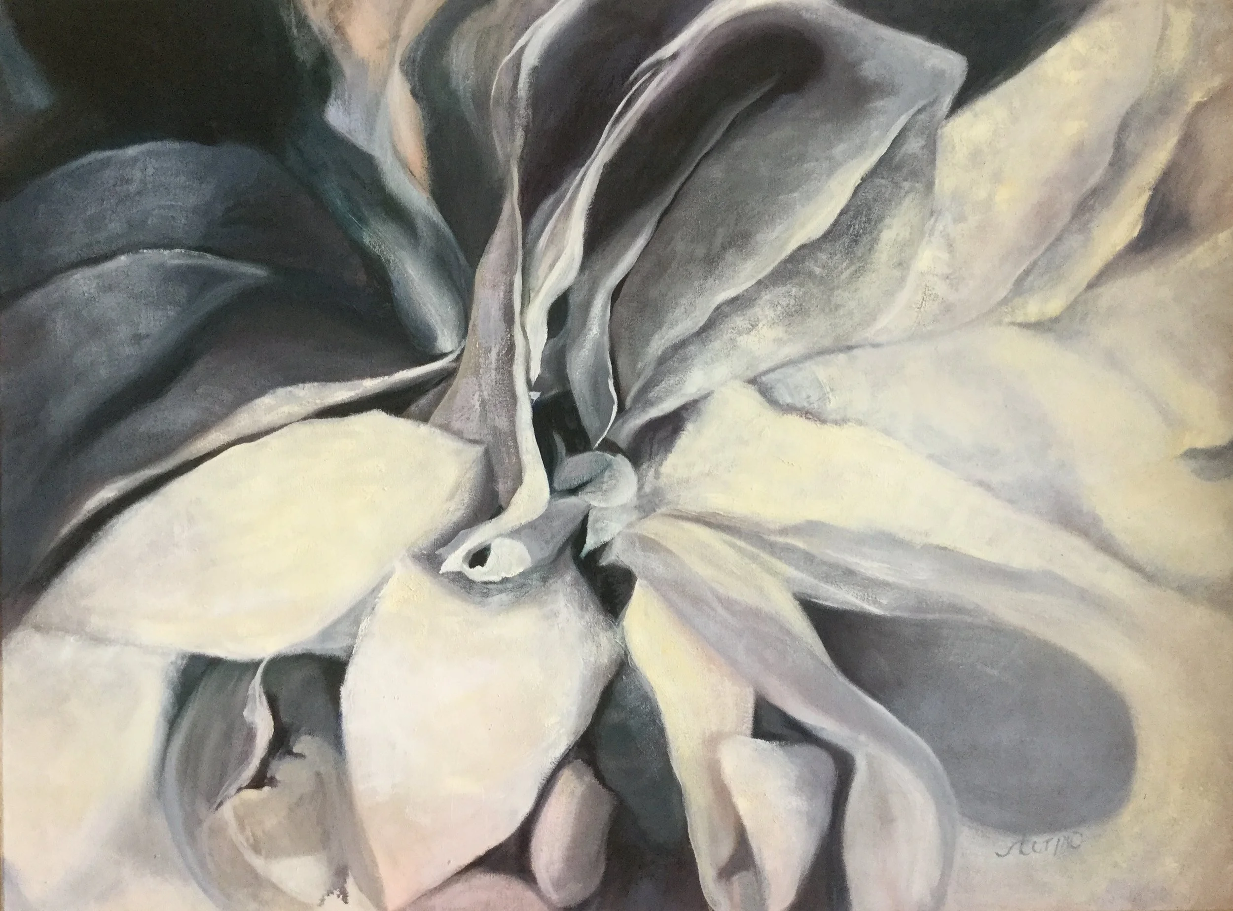  Black and White Oil on Canvas (framed) 38” x 29”  