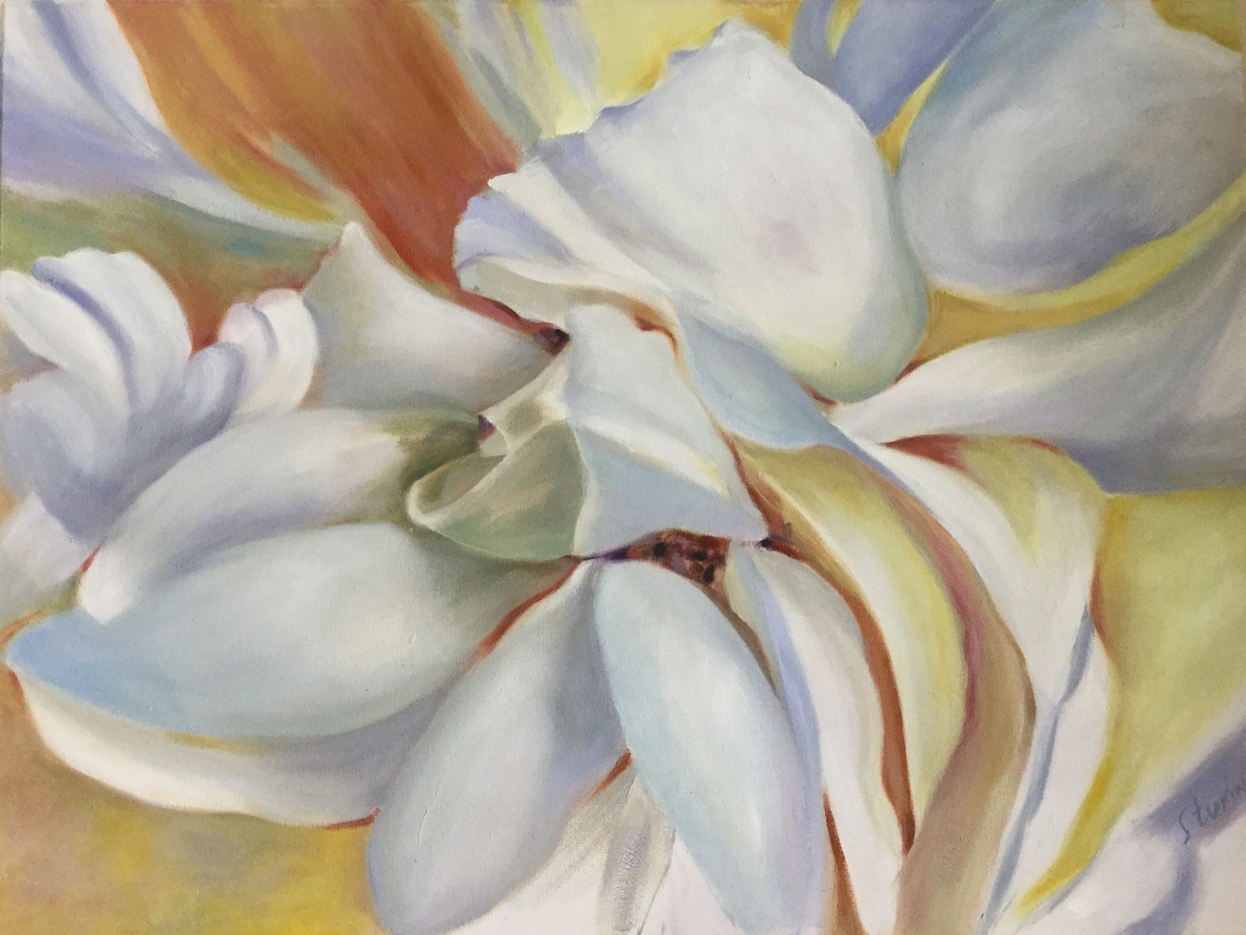  Enlightenment Oil on Canvas 24” x 36”  