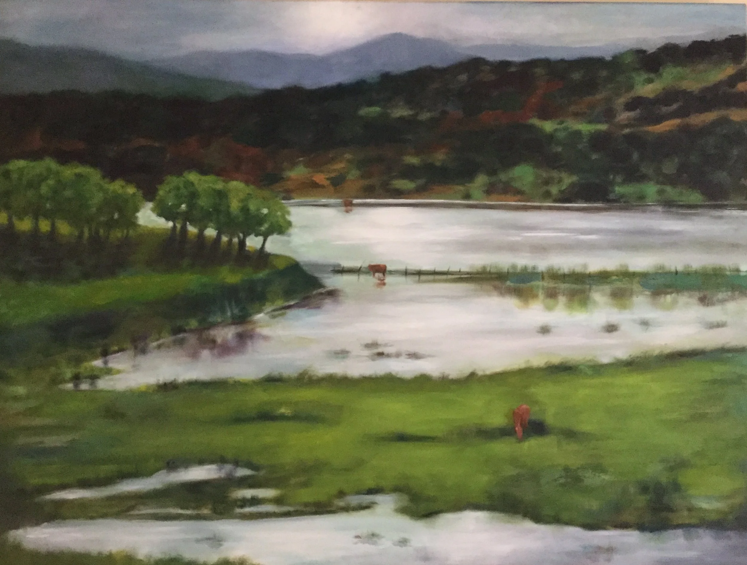  After the Rain Tlaxcala Oil on Canvas 30” x 40”  