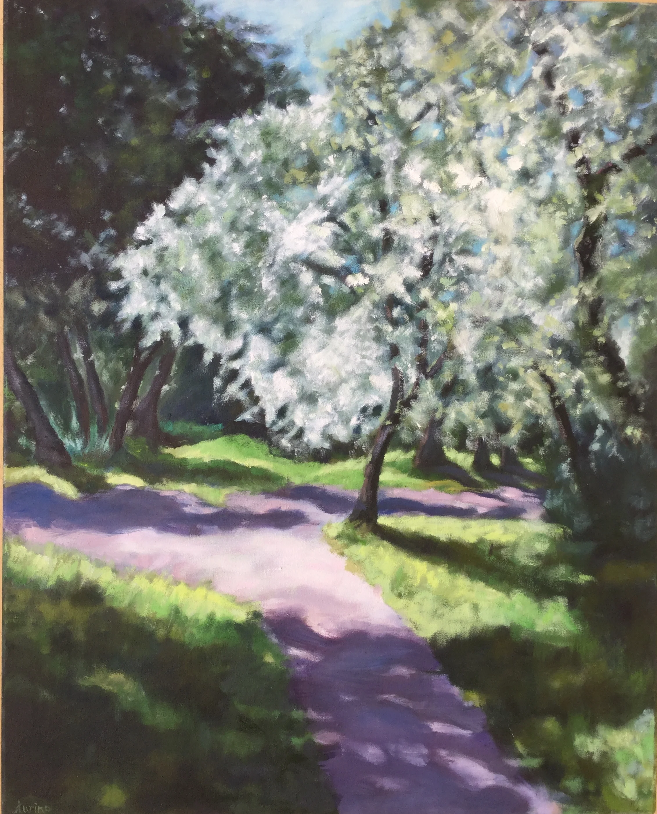  In the Grove Oil on Canvas 24” x 32” 