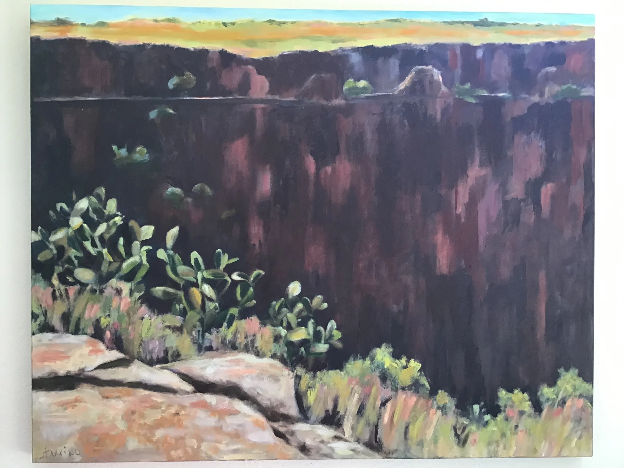  Canyon in the Charco Oil on Canvas 40” x 50 “    