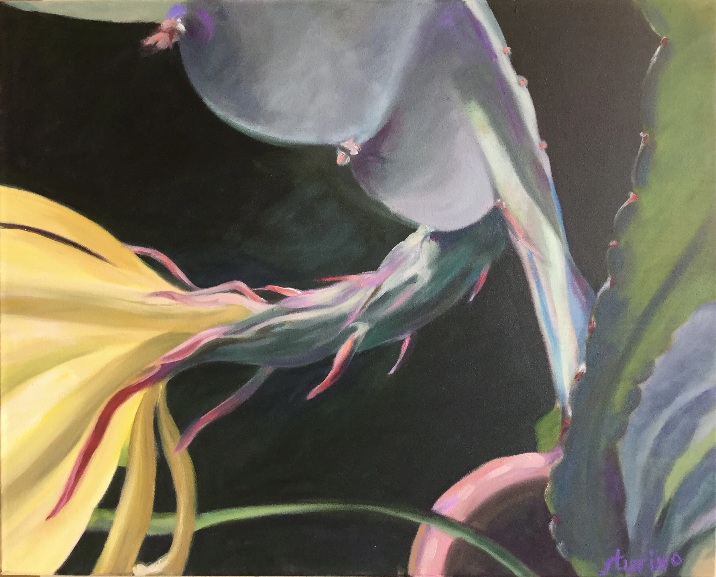  Orchid Lilly 2 Oil on Canvas 24” x 30"  