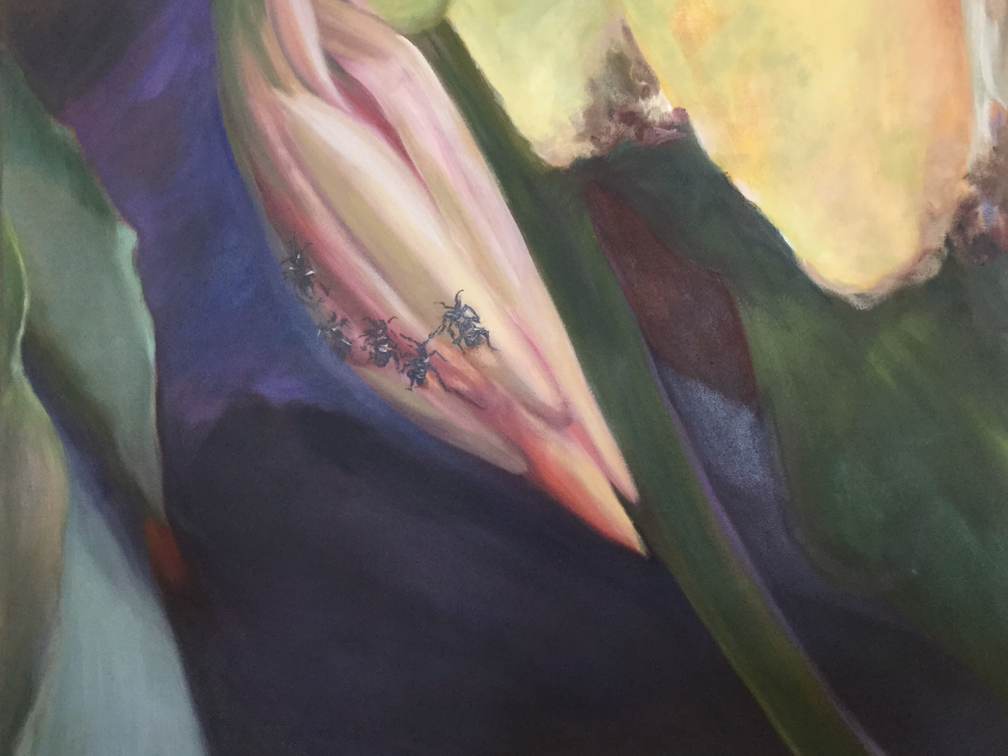  Symbiosis Oil on Canvas 24” x 30”   