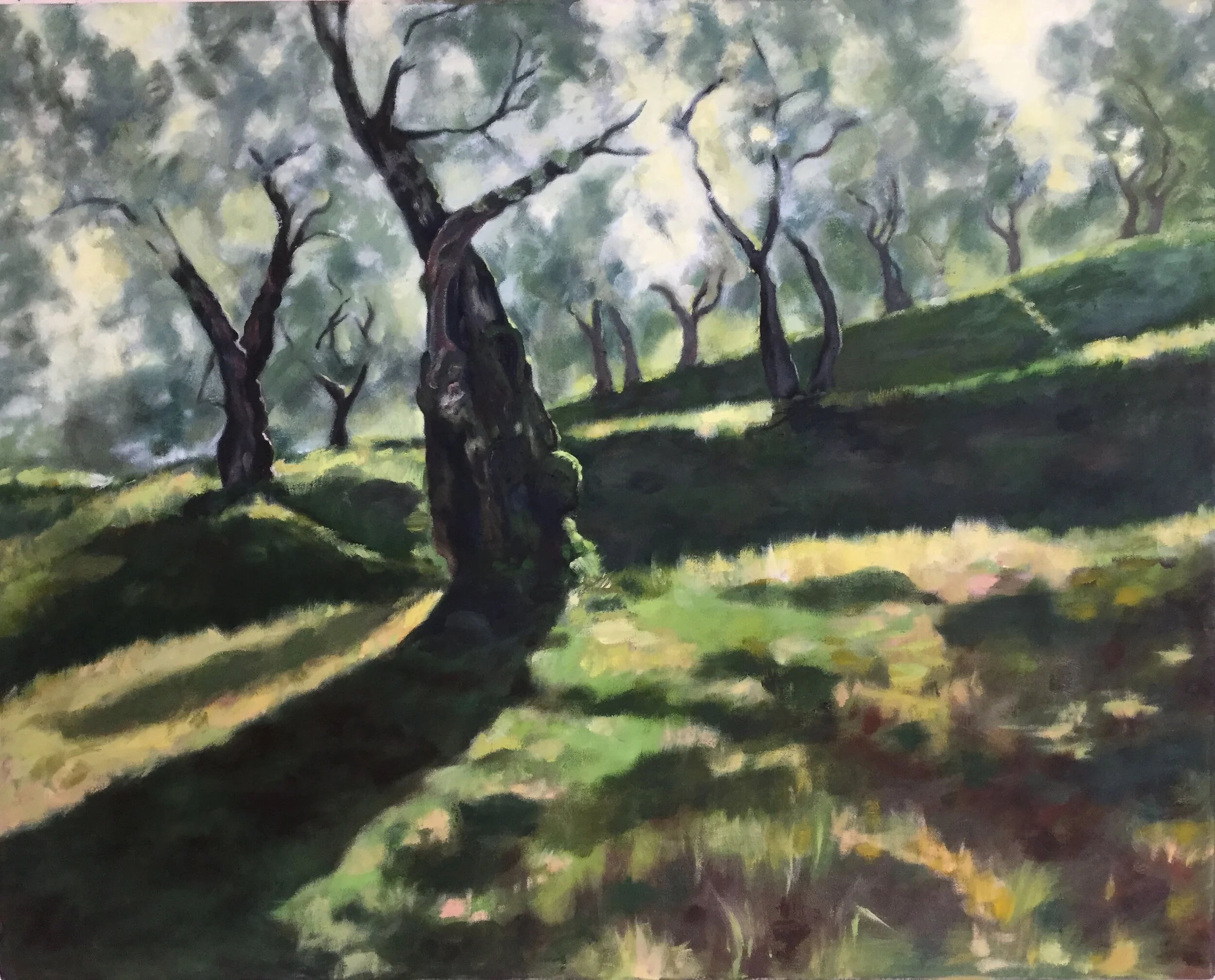  Morning Light Oil on Canvas 32” x 24 “  