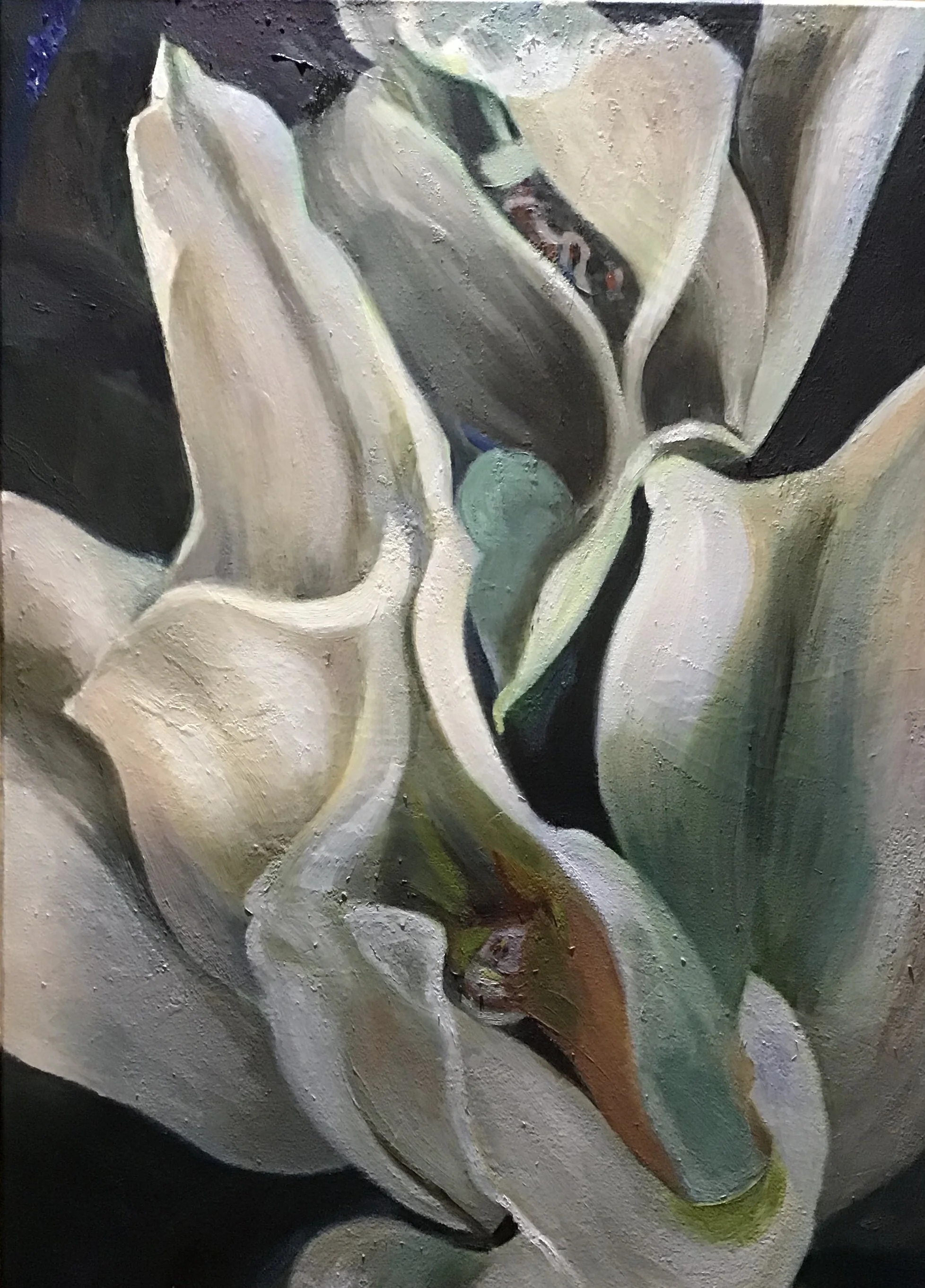  Tulip Time Oil on Canvas SOLD 