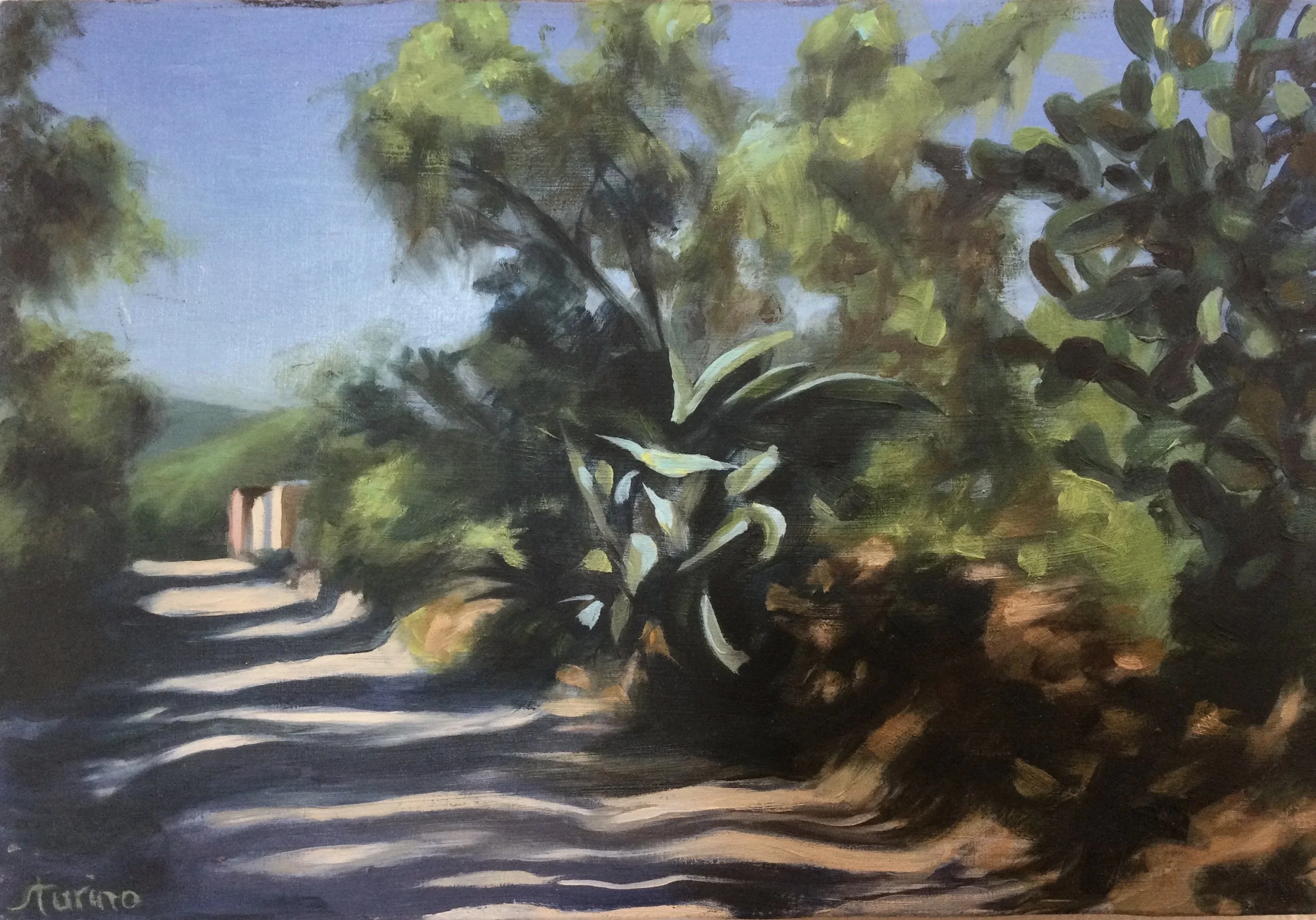  Back Road in the Campo Oil on Board 8” x 12 “, 2018 
