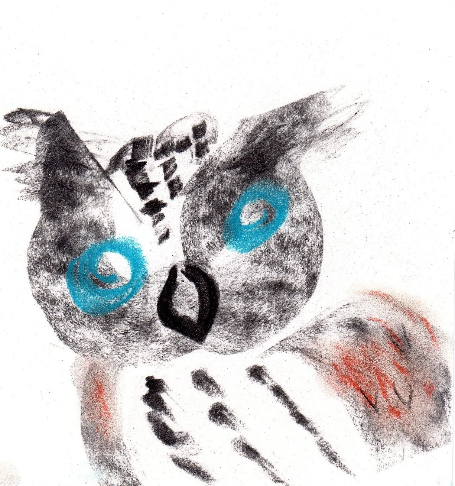 owl tilt 5-2-09.jpg