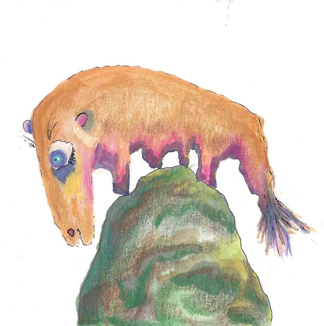 Lynn art-Rocky-aardvark on rock 2016.jpg