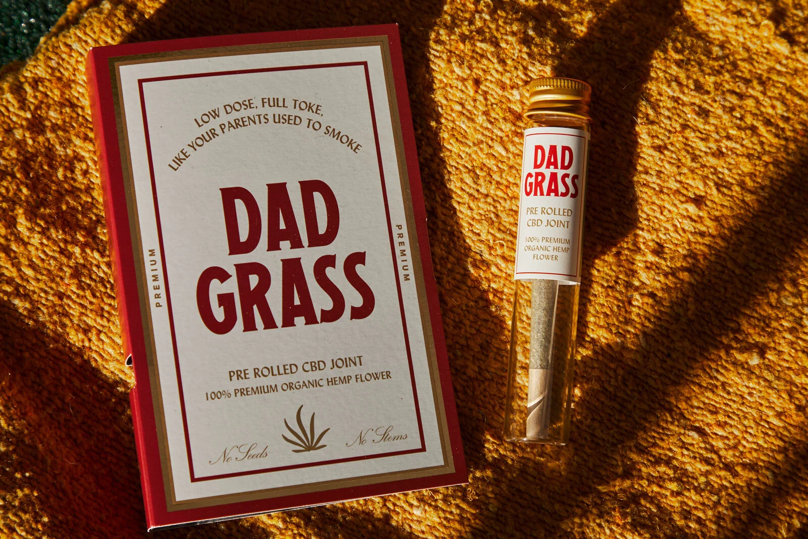 DadGrass_PreRollPhotos_4.jpg