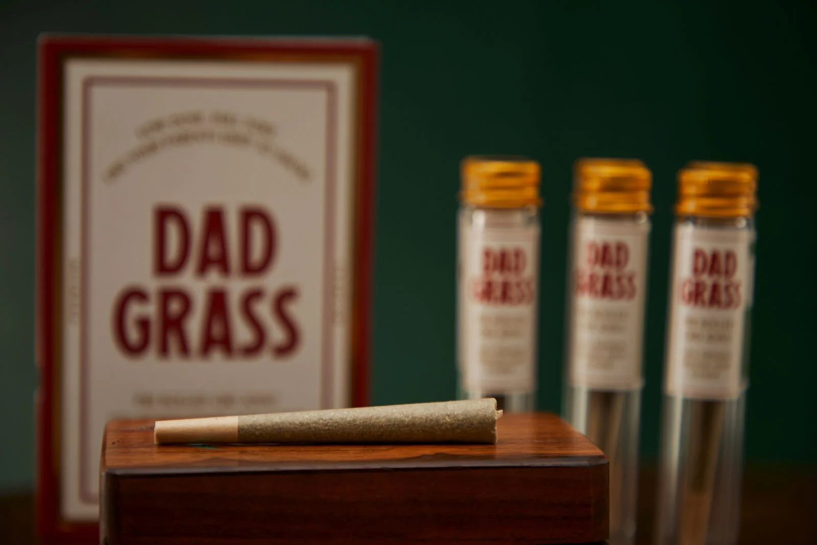 DadGrass_PreRollPhotos_10.jpg
