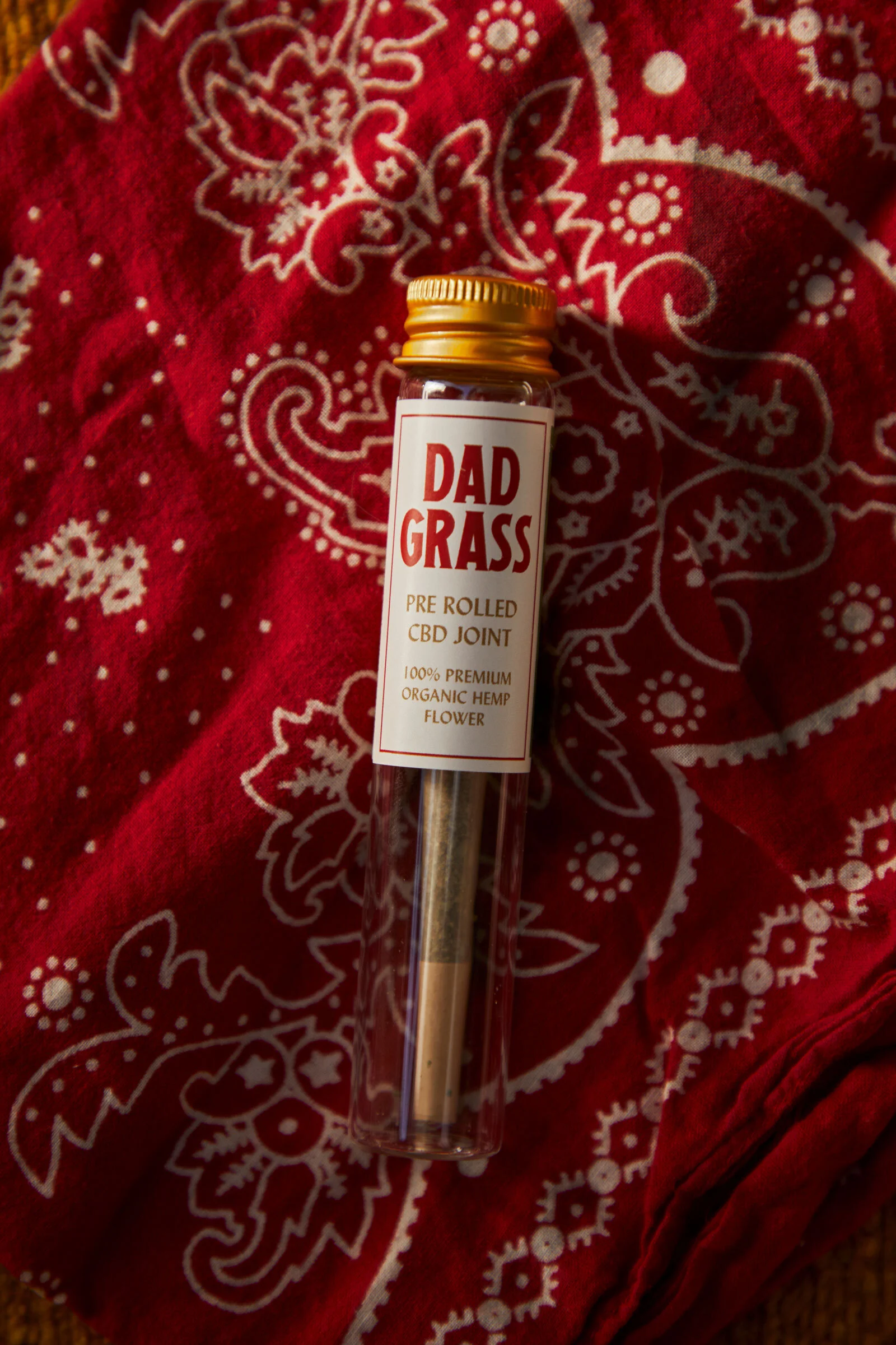 DadGrass_PreRollPhotos_9.jpg