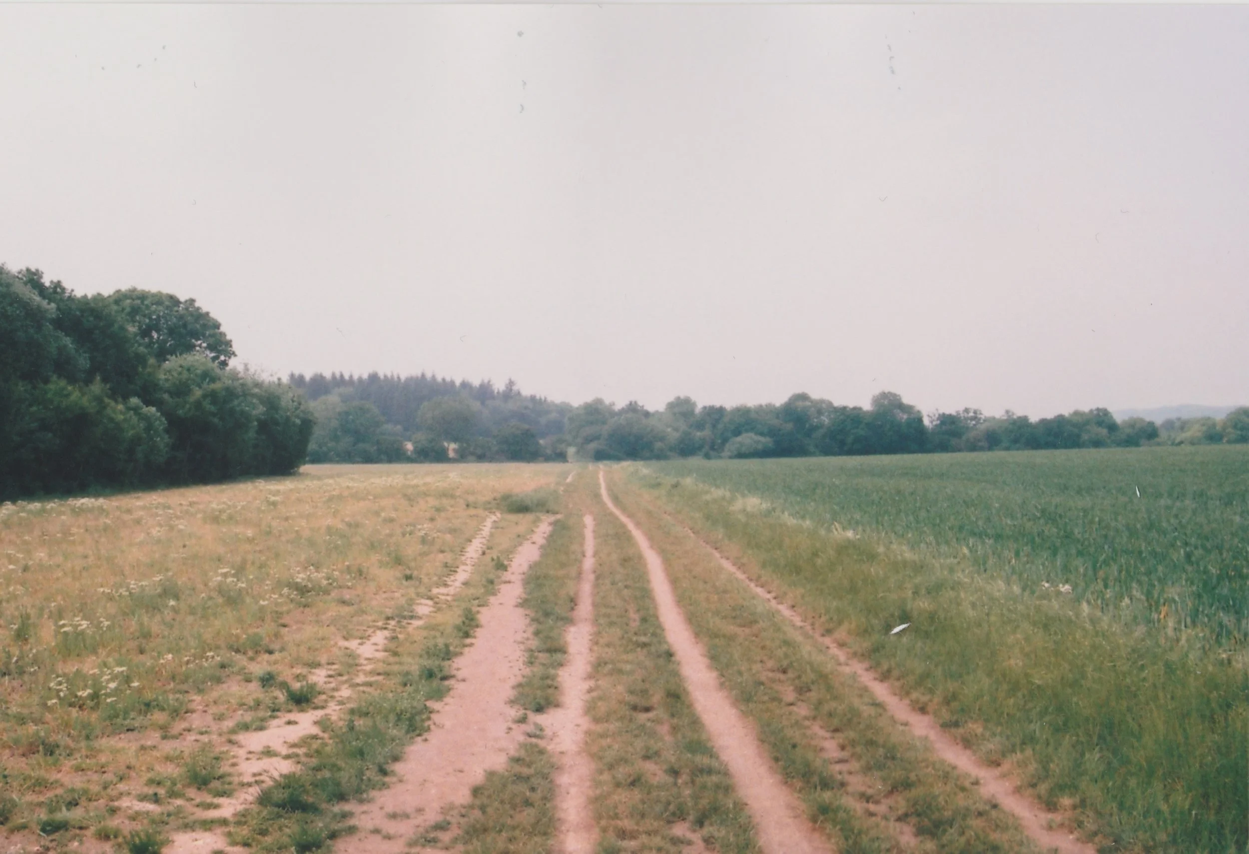35mm 10 2.jpeg