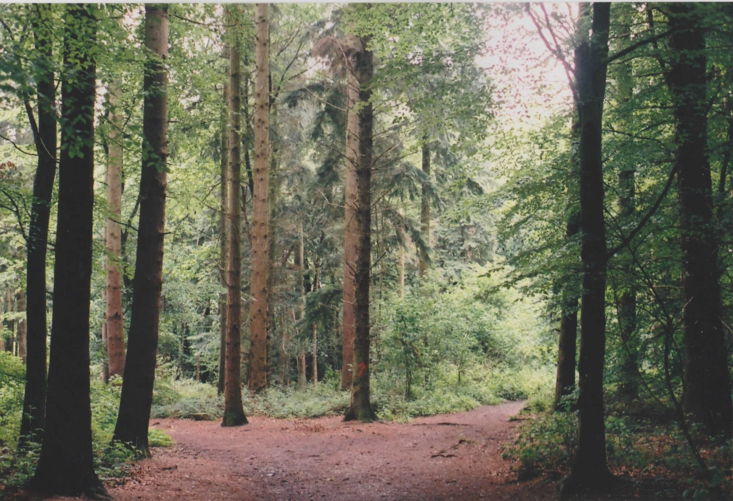 35mm 10 5.jpeg