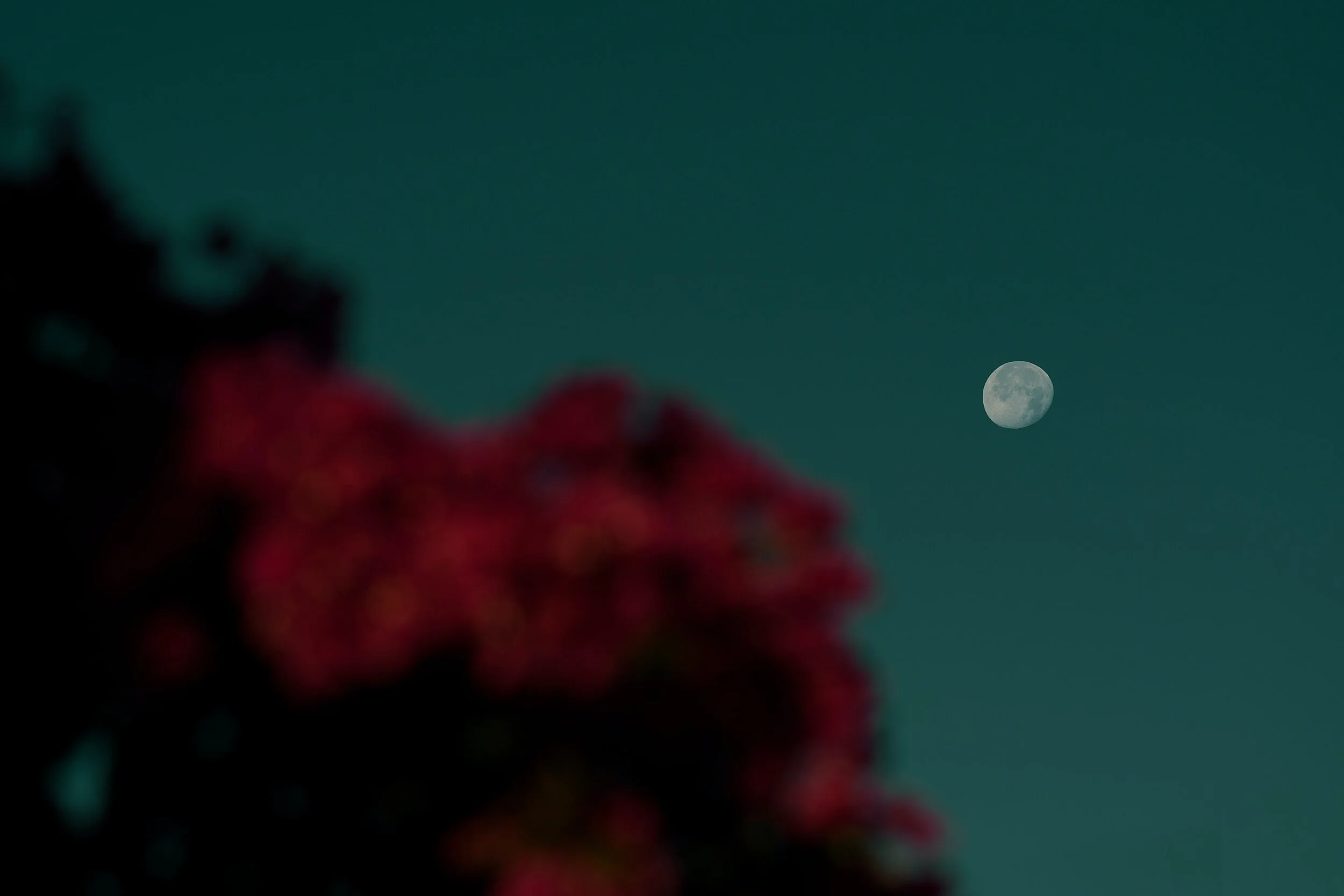 7 Full Moon Ritual Ideas