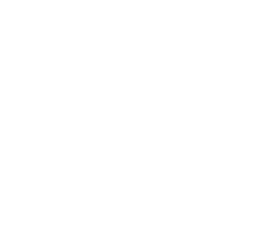 apricity logo.png