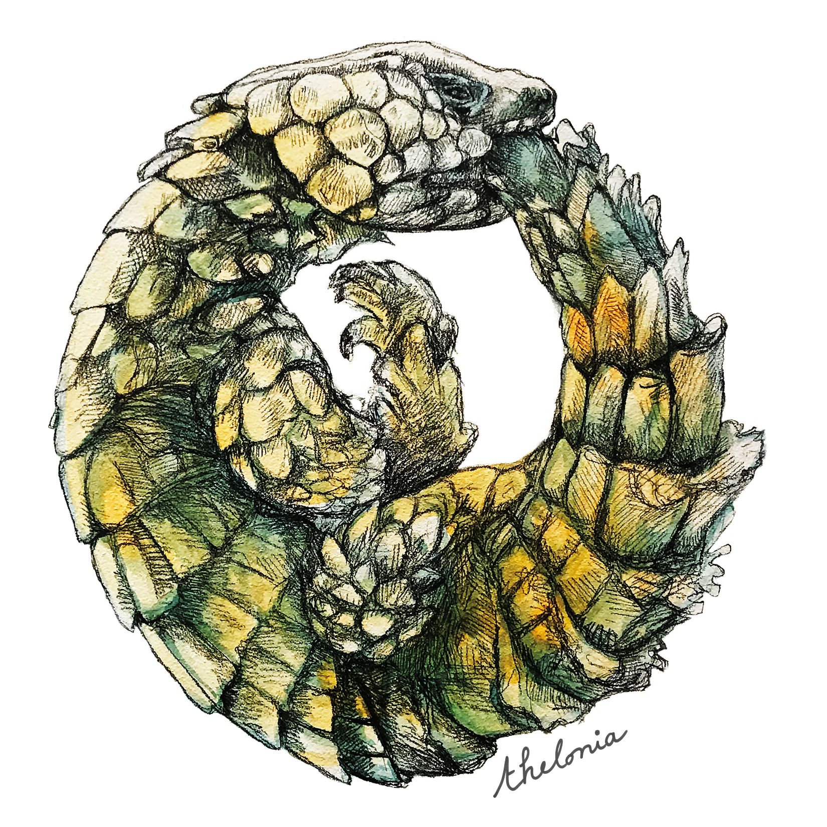 Ouroboros_signature_printfile_default_5.5x5.5.png