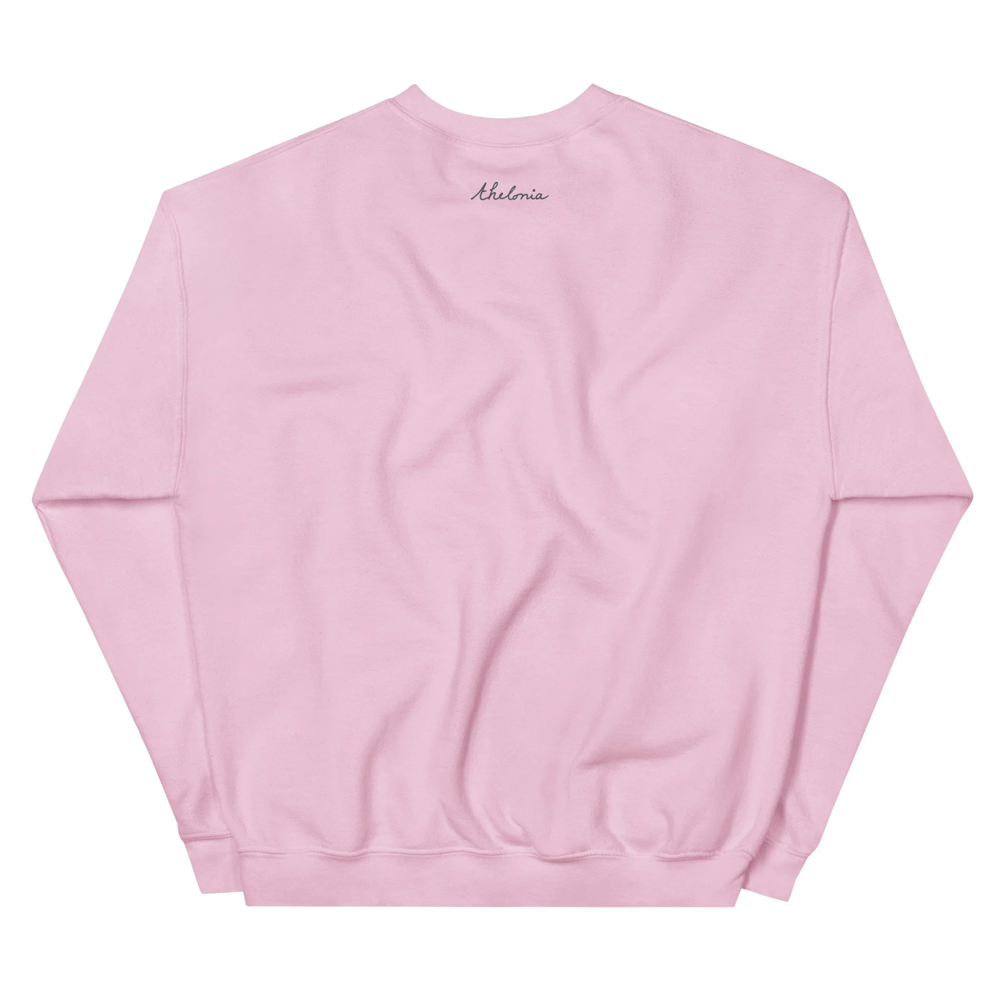 unisex-crew-neck-sweatshirt-light-pink-back-659f5013d8292.jpg