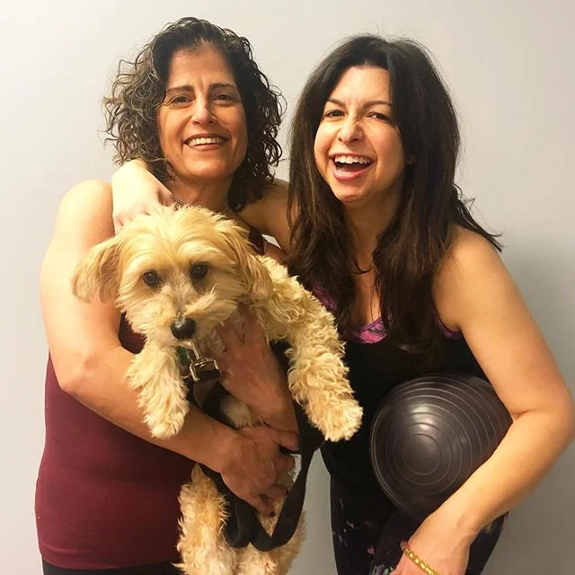 Lily at @thecoremethod is whipping my tummy and tush 🤓into tip top shape. She&rsquo;s my Tuesday morning dose of 😊happiness and &ldquo;shit, this hurts&rdquo;. Added bonus, there&rsquo;s usually a dog there. Doglates. 🥰