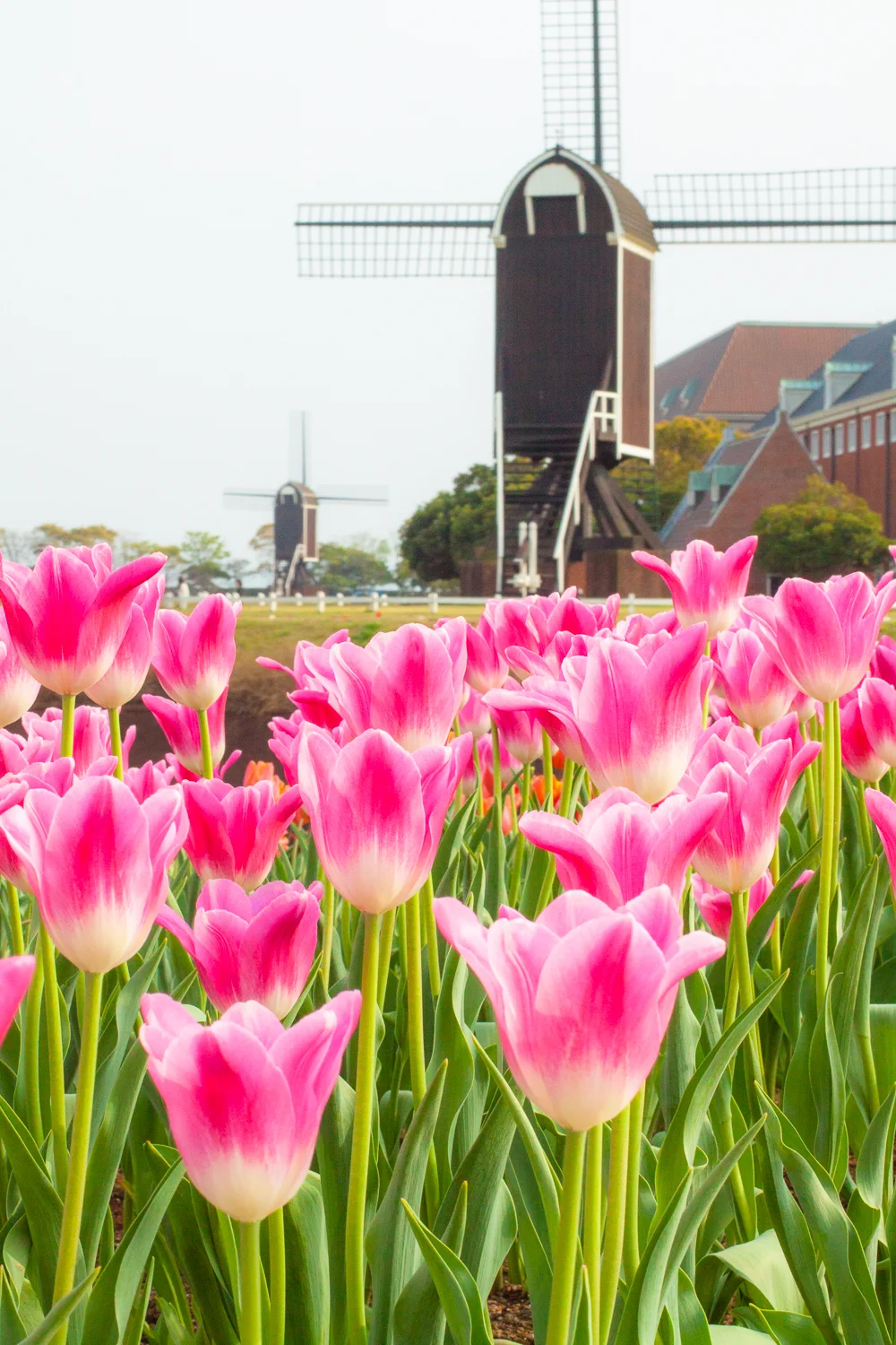 Huis Ten Bosch (8 of 46).jpg