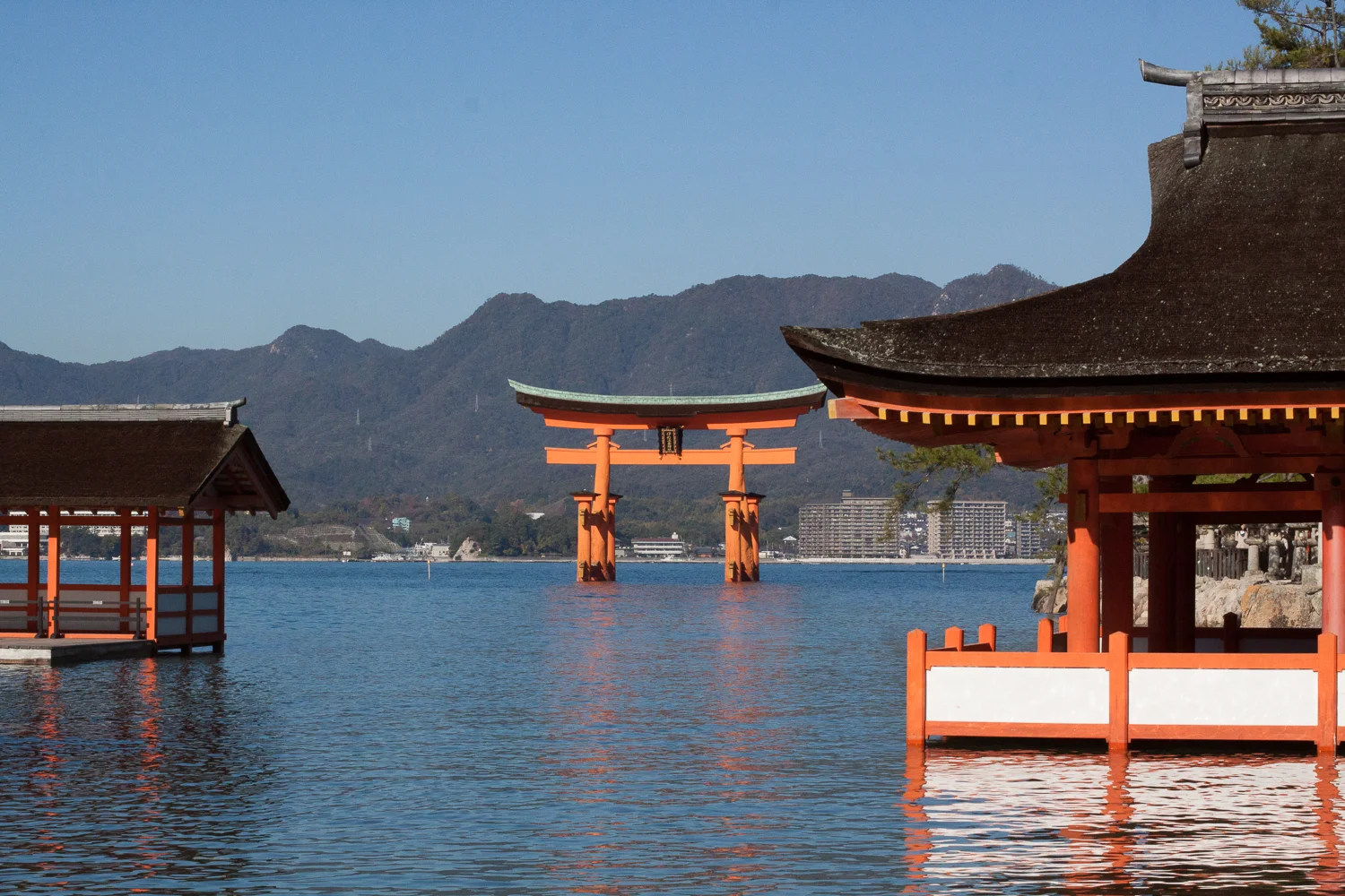 Miyajima (5 of 85).jpg