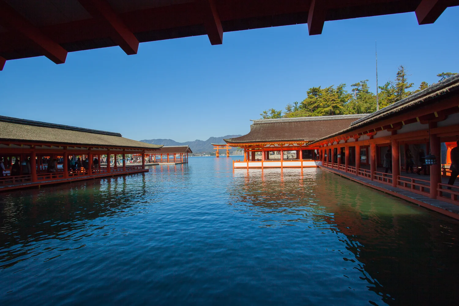 Miyajima (8 of 85).jpg