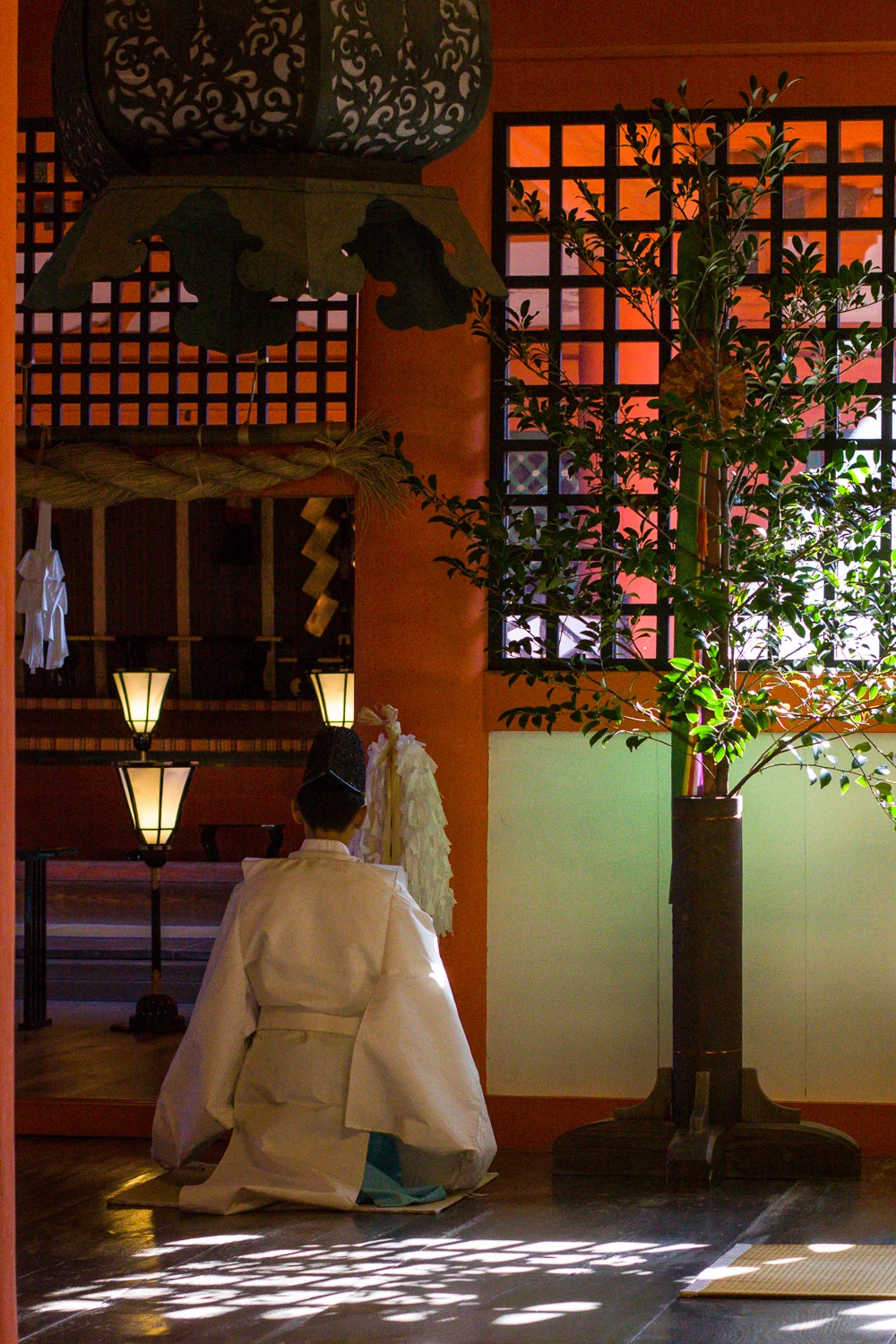 Miyajima (13 of 85).jpg