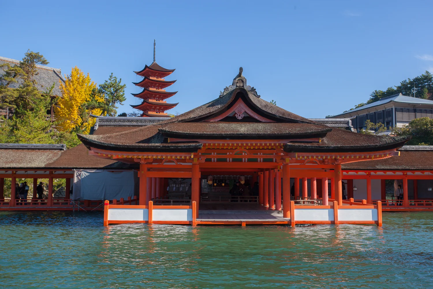 Miyajima (14 of 85).jpg
