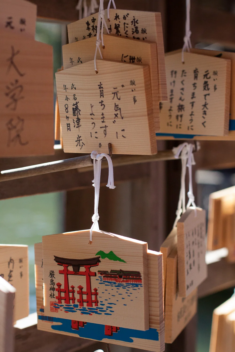 Miyajima (17 of 85).jpg