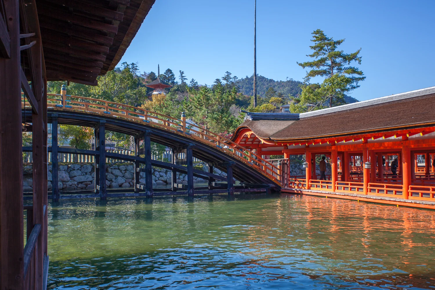 Miyajima (28 of 85).jpg