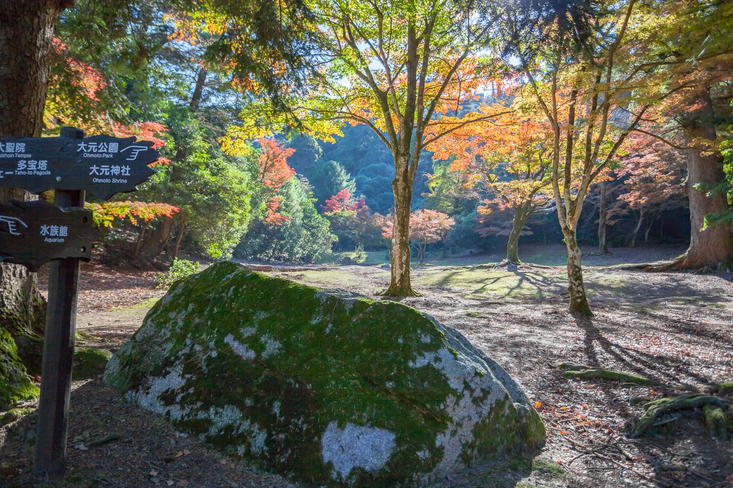 Miyajima (36 of 85).jpg