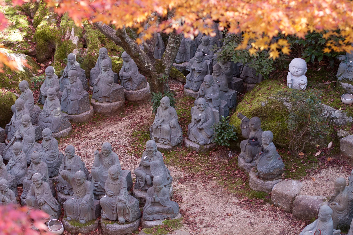 Miyajima (43 of 85).jpg