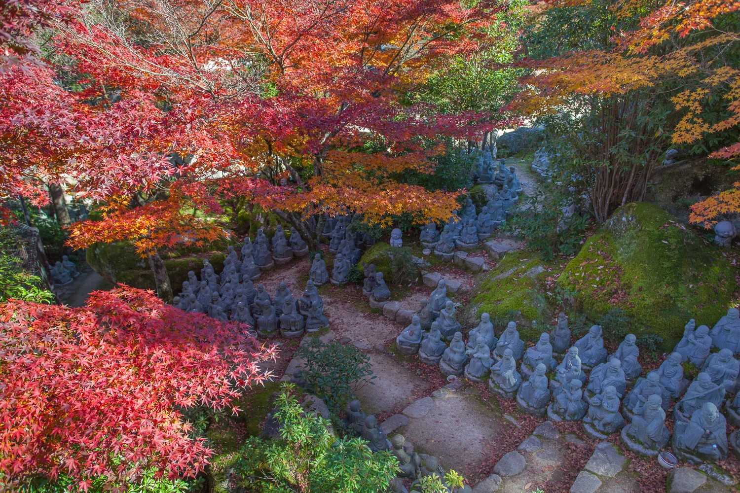 Miyajima (54 of 85).jpg