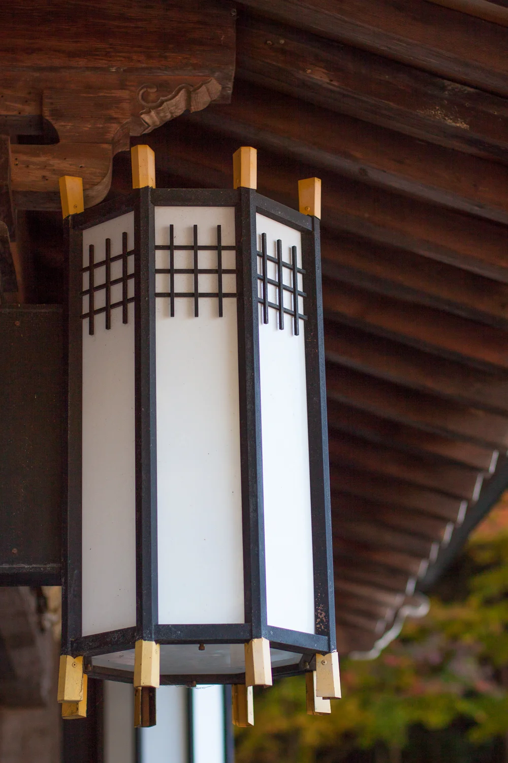 Miyajima (65 of 85).jpg