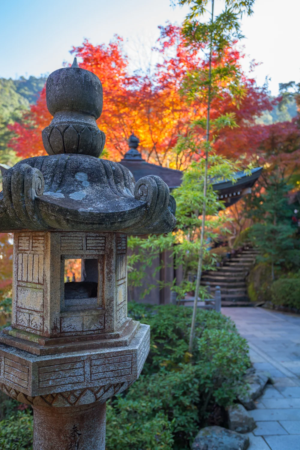 Miyajima (68 of 85).jpg