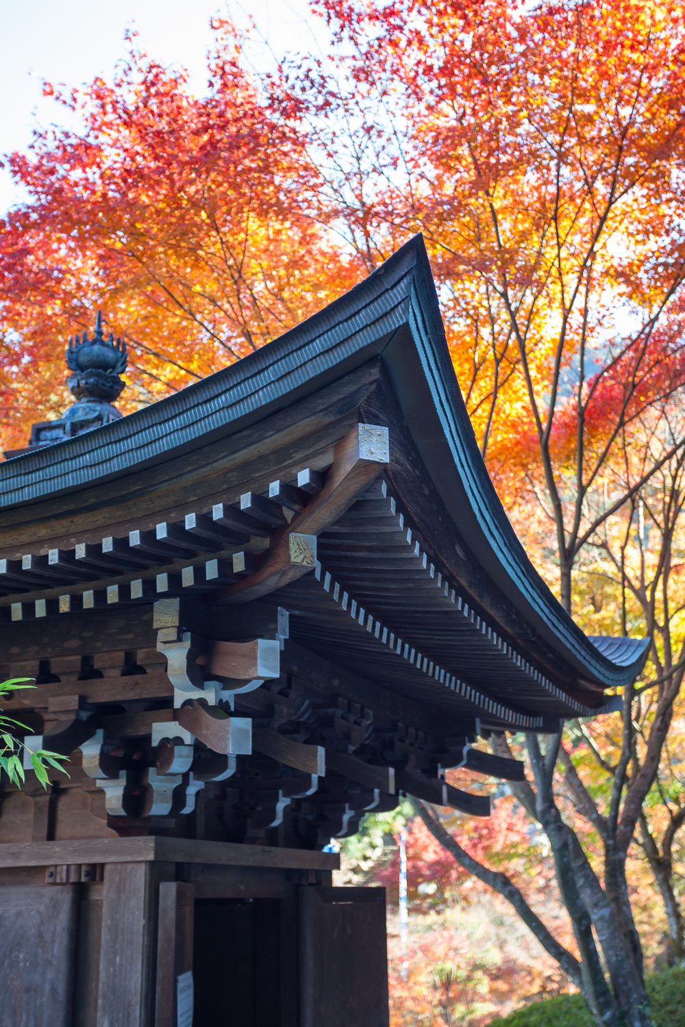 Miyajima (69 of 85).jpg