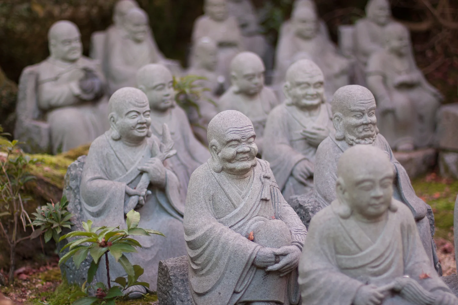 Miyajima (72 of 85).jpg