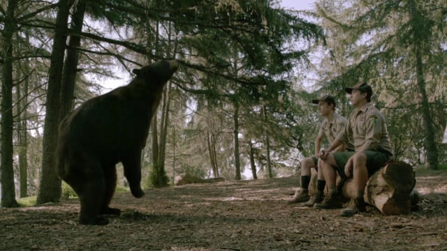 5 Hour Energy – Bear