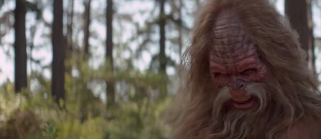 Jack Link's Jerky – Fling It