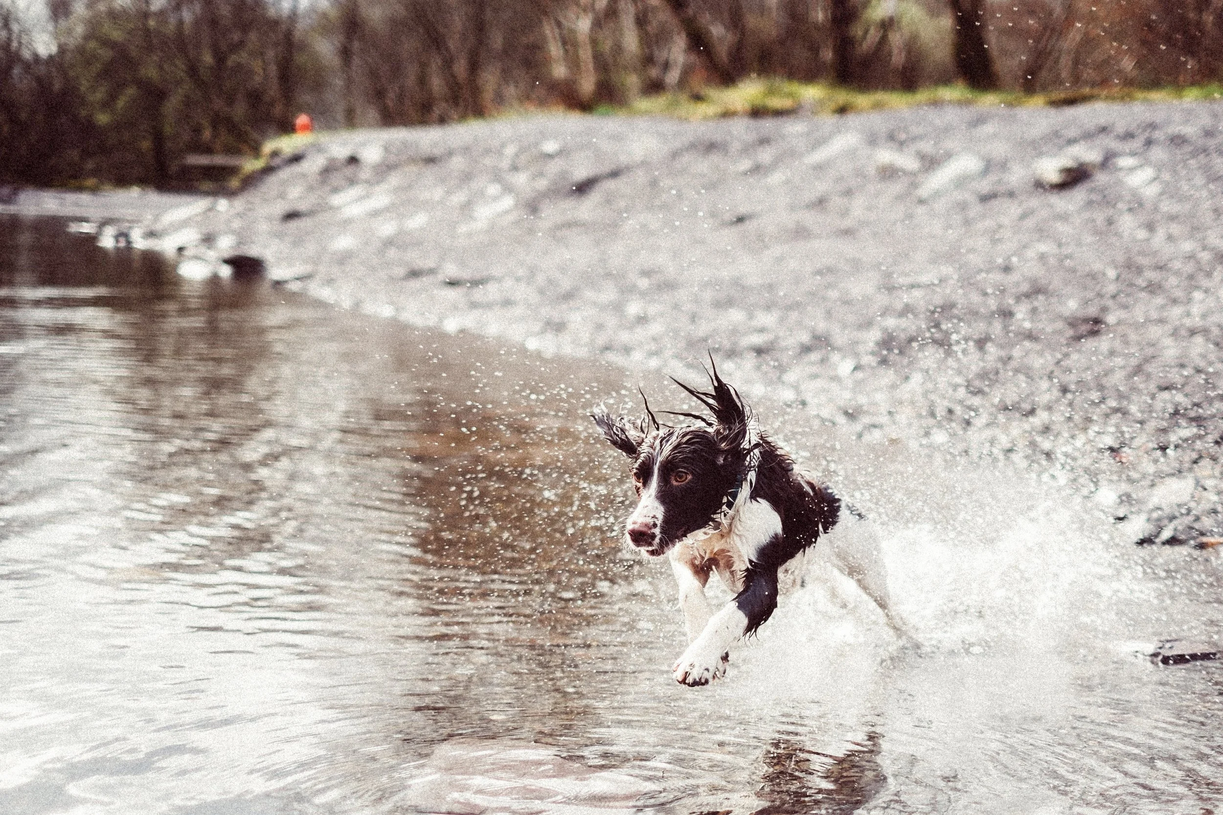 mitchell-orr-323504-unsplash.jpg