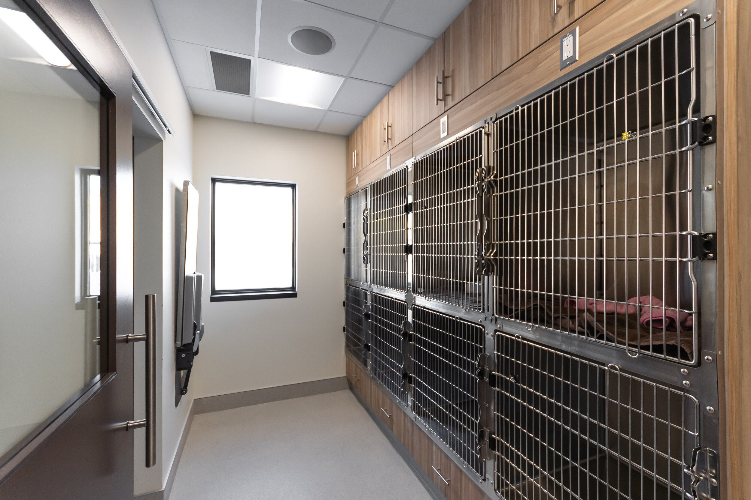 Our New Hospital — Careport Animal Hospital | Veterinary Clinic in Regina,  SK